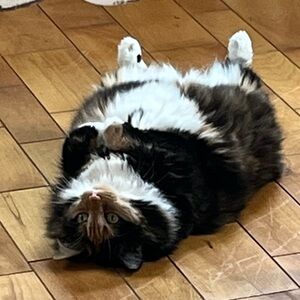 Meet your Posher, Deb